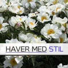 Havearkitekt, haver, haveplan, haveskitser